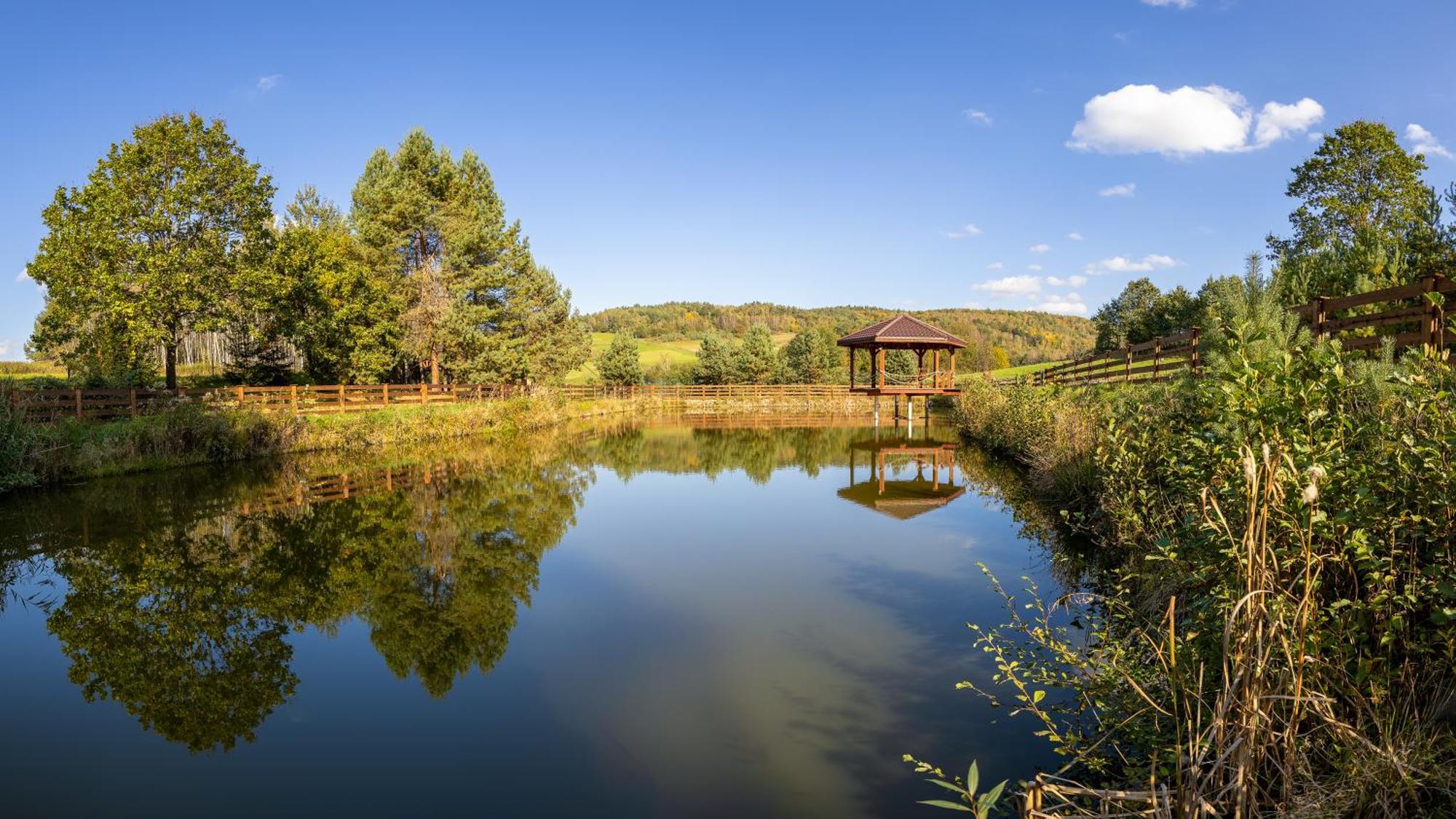 מלון Glamping Pod Gwiazdami Pietrusza Wola מראה חיצוני תמונה