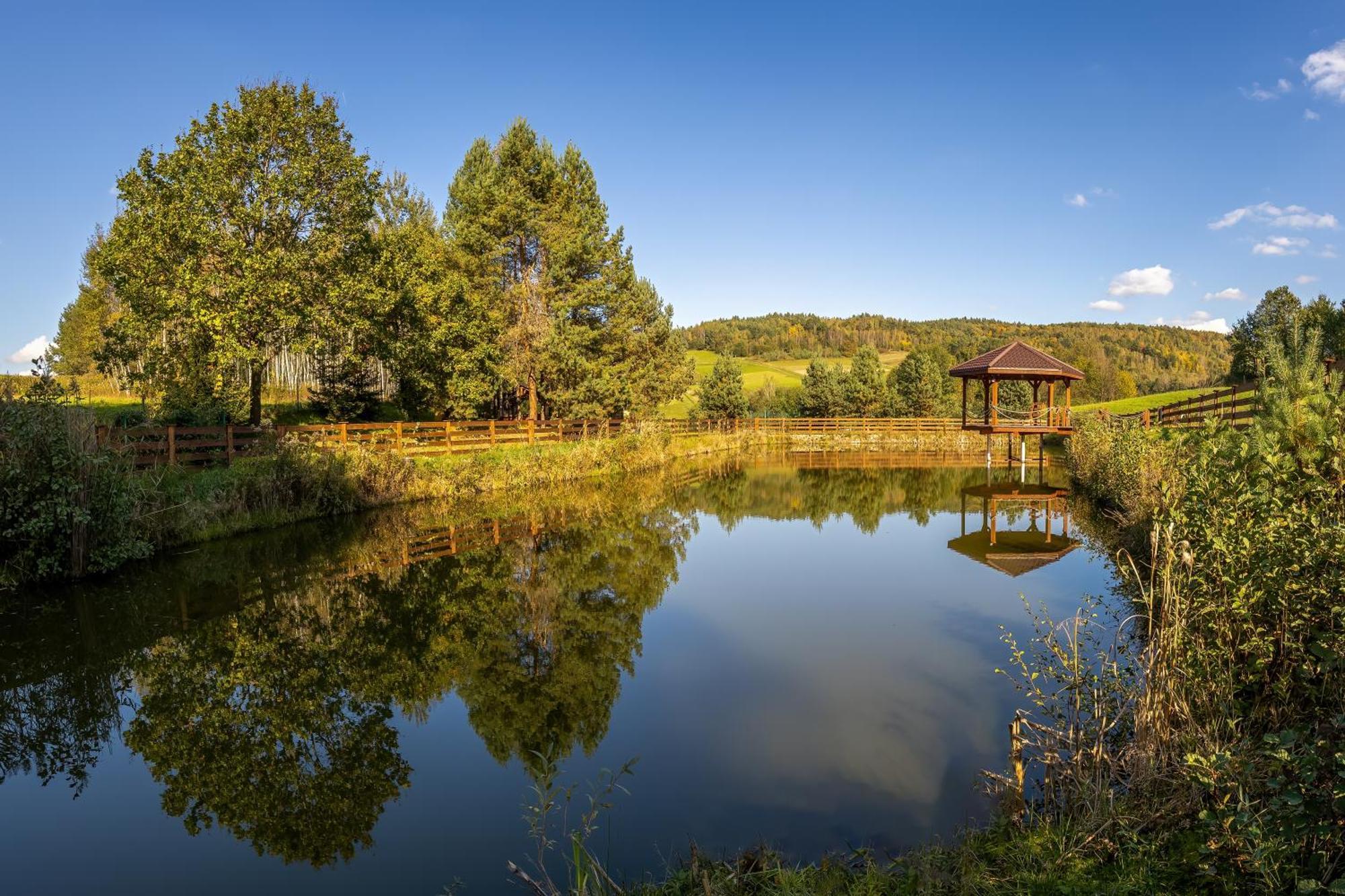 מלון Glamping Pod Gwiazdami Pietrusza Wola מראה חיצוני תמונה